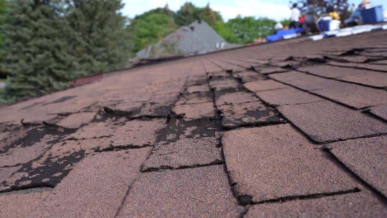 Trusted Plymouth, OH Roofing Experts