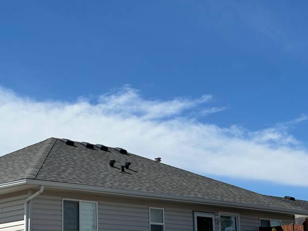 Best Roof Maintenance and Cleaning  in Plymouth, OH